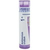 Boiron Antimonium Crudum 1M, Homeopathic Medicine for Indigestion With Nausea From Overeating, 80 Pellets