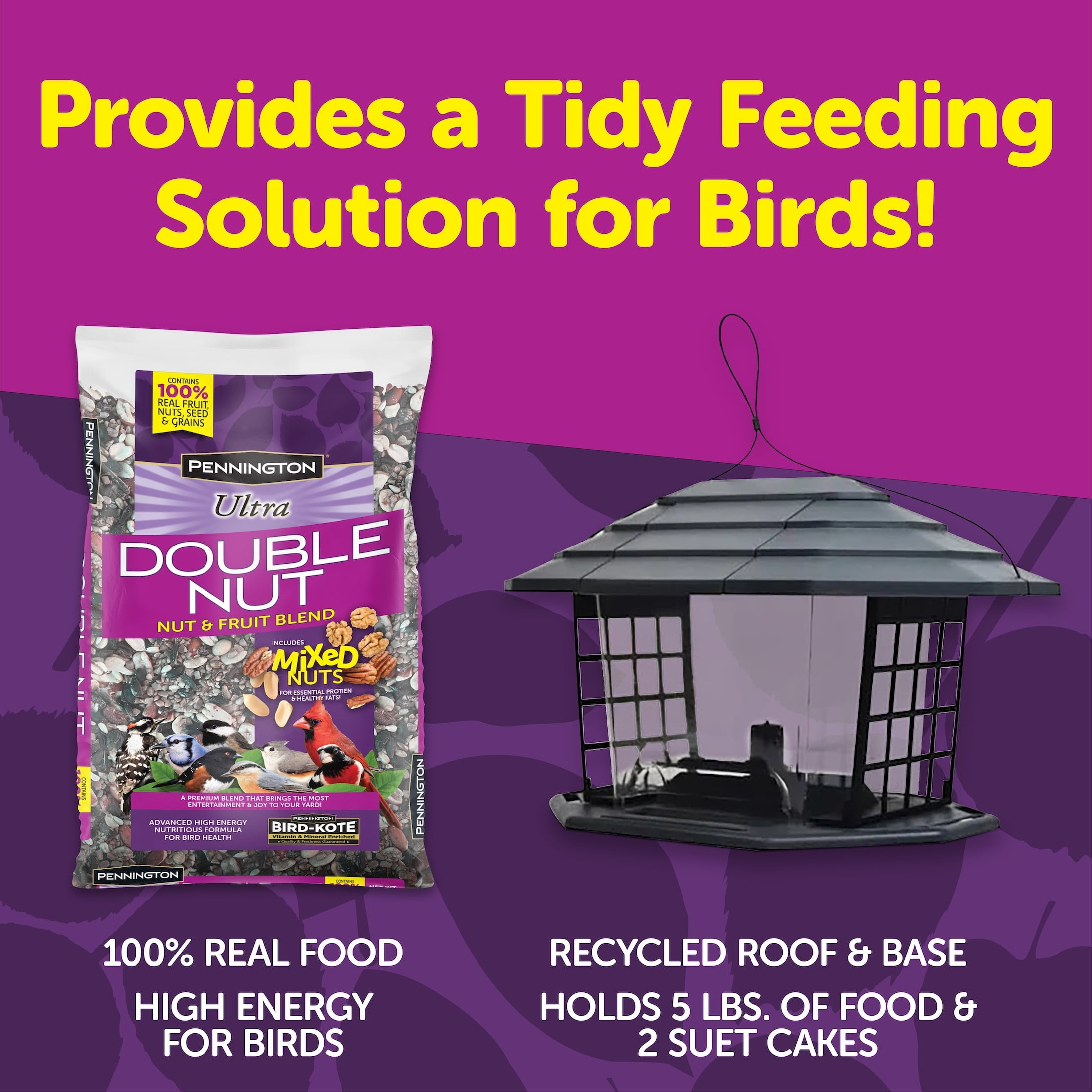 Pennington Earth Smart Ecobistro 5lb Capacity Wild Bird Feeder and Feed Starter Kit 1 Each