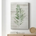 thumbnail image 6 of Tropic Frond II Premium Gallery Wrapped Canvas - Ready to Hang, 6 of 9