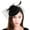 Black, variant on Yokua Feather Fascinator Women Fascinator Headband Veil Tea Party Derby Pillbox Hat