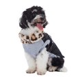 thumbnail image 3 of Dog Winter Coat with Fleece Collar Winter Warm Dog Jacket Windroof Dog Clothes with Harness Soft Pet Dog Vest Apparel, 3 of 9
