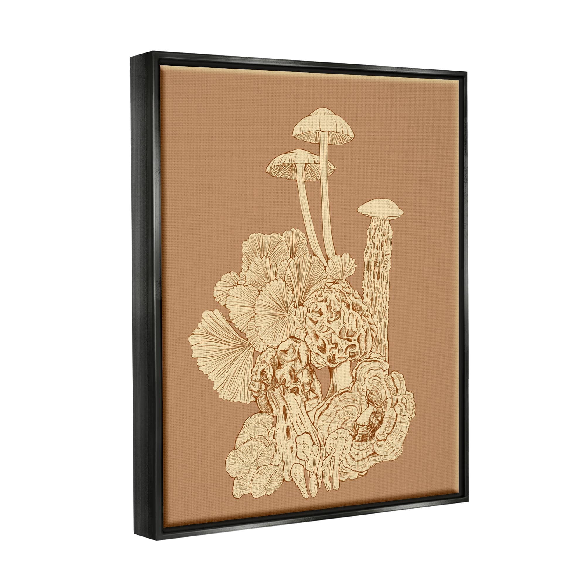 Stupell Industries Detailed Mushrooms Forest Flora Nature Plants Arrangement Graphic Art Jet Black Floating Framed Canvas Print Wall Art, Design by Ziwei Li