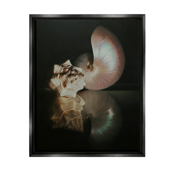Stupell Industries Dark Sea Shells Still Life Photograph Jet Black Floating Framed Canvas Print Wall Art, Design by Cecile Baird