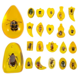 4Pcs Insect Specimen Amber Resin Insects Amber Resin Crafts Decorative Bug  Amber (Random Style) 