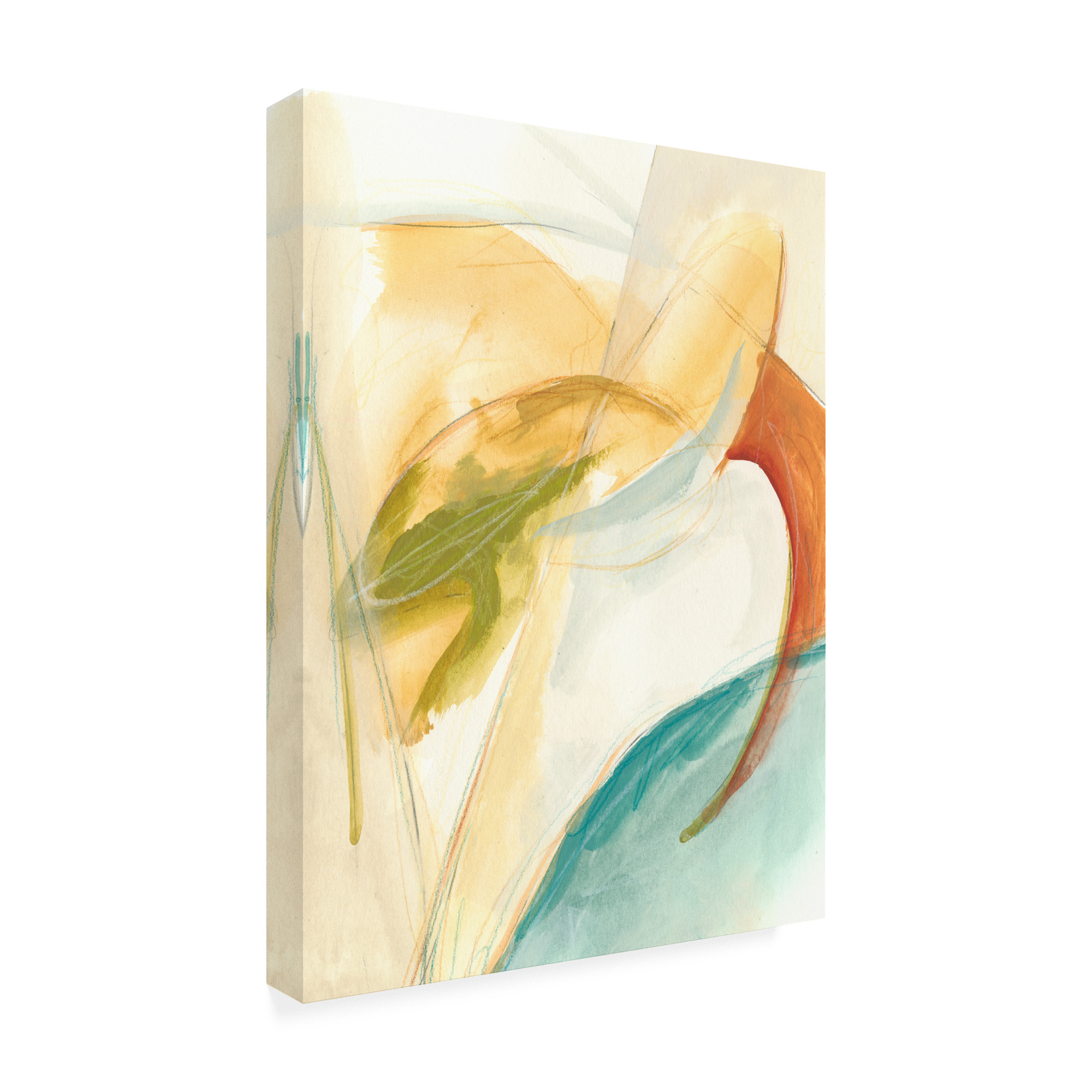 Trademark Fine Art 'Vertigo II' Canvas Art by June Erica Vess
