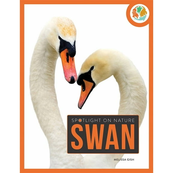 Spotlight on Nature: Swan (Paperback)
