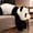 60CM, variant on 60cm-120cm Giant Panda Plush Toys Soft Sleep Pillow Cartoon Animal Bear Stuffed Baby Doll Classic Kids Birthday Christmas Gifts