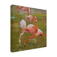 thumbnail image 2 of Trademark Fine Art 'Flamingo I' Canvas Art by Chuck Larivey, 2 of 4