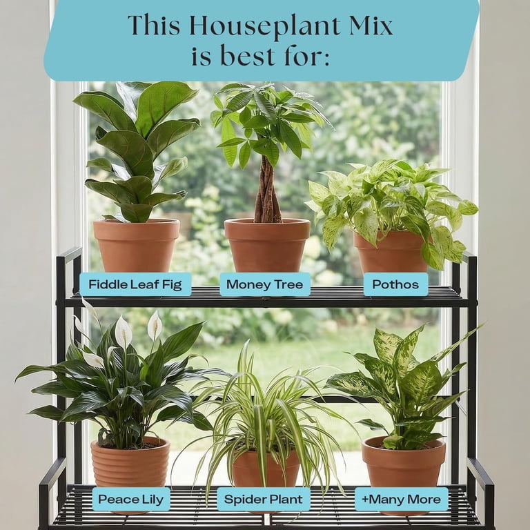 Rosy Soil Indoor Potting Soil Mix for Houseplants, Organic Peat Free Plant  Soil with Biochar, Root Boosting Living Soil for Indoor Plants, 4 qt