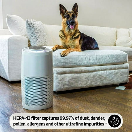 Instant Air Purifier, Replacement Filter, Large Room