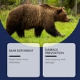 thumbnail image 3 of Bear Repellent Spray 100ml – Odorless Outdoor Deterrent for Patios, Trash Cans, RVs & Camping, 3 of 8