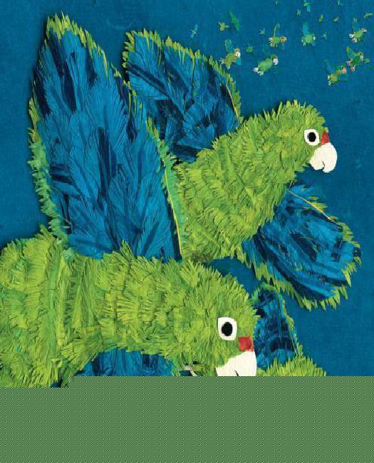 thumbnail image 1 of Parrots Over Puerto Rico, 1 of 3