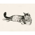 thumbnail image 2 of Popp, Grace 32x26 White Modern Wood Framed Museum Art Print Titled - Cat Laze II, 2 of 4