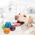 thumbnail image 2 of Pet Dog Chew Toy 12cm Dog ball TPR Spikes Molar Cleaning Tooth Funny Toy Indestructible Interactive Toy Products Pet Supplies (Blue), 2 of 7