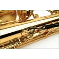thumbnail image 3 of Rico Soprano/Alto Saxophone Neck Strap Jazz Stripe 2, 3 of 3