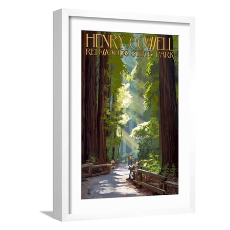 Art.com Henry Cowell Redwoods State Park - Pathway in Trees Art Print by Lantern Press, White Frame Wall Art, 17" x 23"