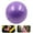 Purple, variant on BESTSKY Exercise Ball,9.84in Birthing Ball,Anti-Slip Exercise Balls,Blue