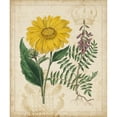 thumbnail image 3 of Vision Studio 15x17 Black Modern Framed Museum Art Print Titled - Botanical Repertoire III, 3 of 5
