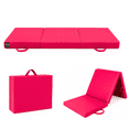 thumbnail image 1 of COLCHONETA INDIVIDUAL PLEGABLE PORTATIL 60 CM X 190 CM COLOR ROSA INMATMEX, 1 of 10