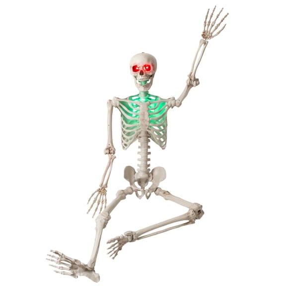 5ft Halloween Skeleton Life Size Human Plastic Full Body Skeleton with Posable Joints for Halloween Party Haunted House Props Decorations