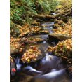 thumbnail image 2 of Flaherty, Dennis 15x18 White Modern Wood Framed Museum Art Print Titled - Georgia, Cherokee NF Small creek in autumn, 2 of 4