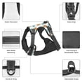 thumbnail image 3 of Naloa Sea Turtle Pet Harness Vest with Traction Rope, Adjustable No-Choke Dog Vest for Outdoor, Walking - Large, 3 of 4