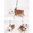 thumbnail image 4 of Brillante conjunto de arnés de perro Puppy Leash Training Collar Traction Rope Red Sunnimix Set de arnés de perro, 4 of 8