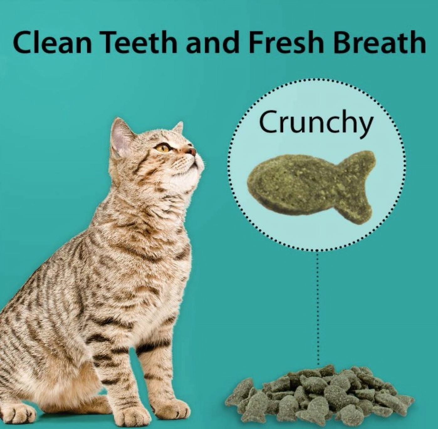 6 Pack Emerald Pet Feline Dental Treats Ocean Fish Flavor [Cat Dental Treats, Bulk Cat Supplies, Emerald Pet] 18 oz (6 x 3 oz)