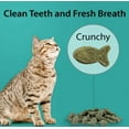 thumbnail image 5 of 6 Pack Emerald Pet Feline Dental Treats Ocean Fish Flavor [Cat Dental Treats, Bulk Cat Supplies, Emerald Pet] 18 oz (6 x 3 oz), 5 of 7