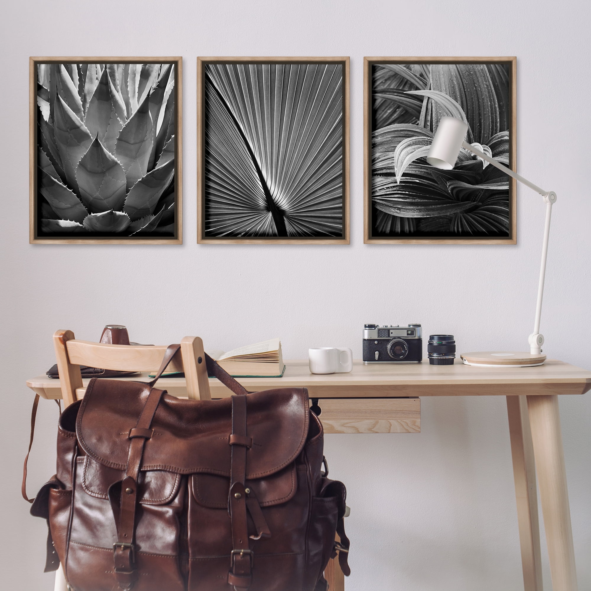 Stupell Industries Palm Frond Details Plants & Flowers Photography Brown Floater Framed Canvas Art Print Wall Art, 25 x 31, Set of 3