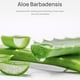 thumbnail image 3 of Blackhead Remover Mask Herramientas de limpieza profunda facial contra puntos 01 Black, 3 of 8