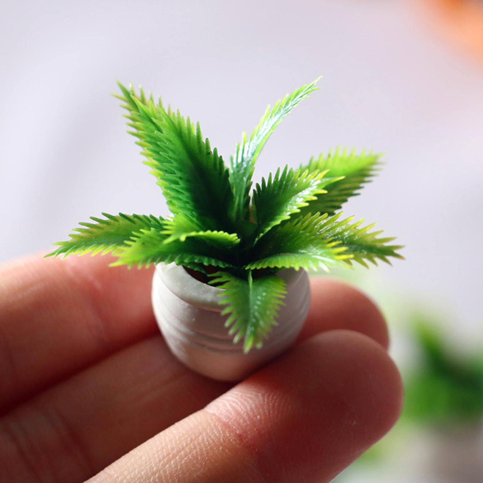 4pcs 1:12 Scale Dollhouse Miniatures Green Plant in Pot Plants Sago Cycas 