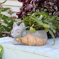 thumbnail image 6 of Sunnydaze Finley the Fox Indoor Planter Statue - 8", 6 of 13