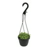 Image thumbnail_image