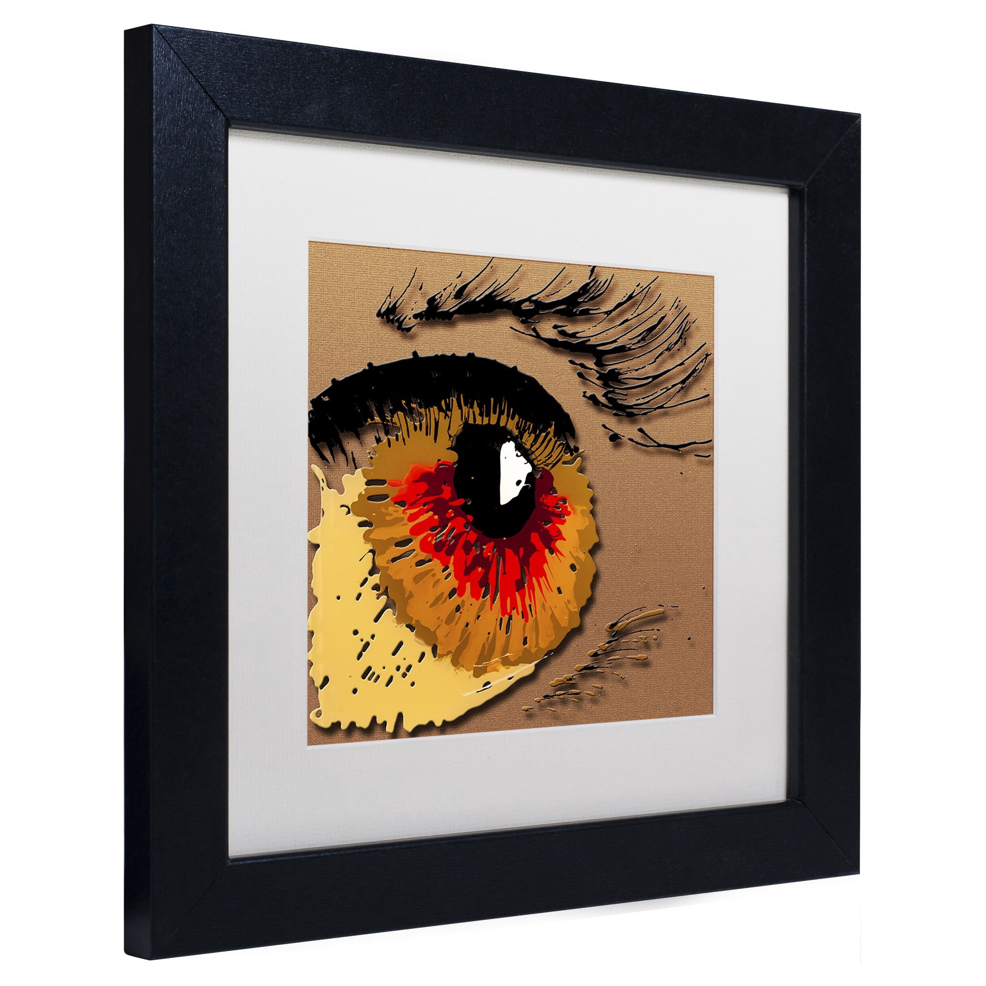 Trademark Fine Art "Eye 1" Canvas Art by Roderick Stevens, White Matte, Black Frame