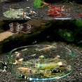 thumbnail image 3 of Flmtop Aquarium Fish Tank Crystal Red Cherry Shrimp Round Glass Feeding Dish Feeder, 3 of 9