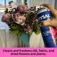 thumbnail image 4 of Chrysal Silk and Dried Flower Cleaner Spray, 4 of 6