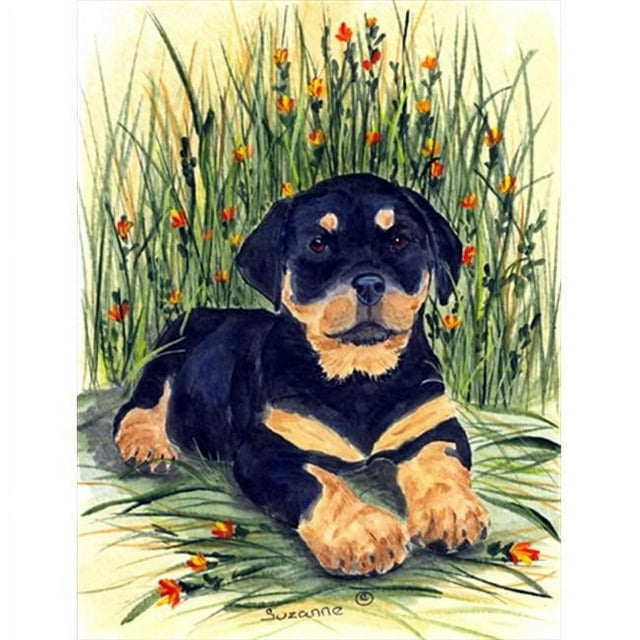 Carolines Treasures SS8107CHF Rottweiler Drapeau Toile - Taille Maison