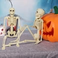 thumbnail image 5 of 15.8in Halloween Skeleton Decoration, Posable Skeleton Figure with Movable Joints, Full Body Skull Prop for Outdoor Yard, Haunted House Party and Spooky Home Decor, 5 of 6