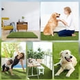 thumbnail image 3 of 2Pcs Dog Grass Pee Pad, Artificial Grass Patch Professional Dog Potty Training Rug Training Turf Pets Mat For Puppies Potty Training Indoor Outdoor Pet Supplies, 3 of 8