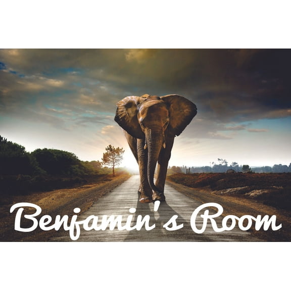 Wall Decal Elephant Beautiful Nature View Zoo Africa Lion Safari Jungle Endangered Species Tiger Wilderness Holiday Gift Ideas Personalized Name Sticker - Size: 12 Inches X 20 Inches