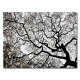 thumbnail image 2 of Trademark Art "Japanese Maple Spring Abstract II" Canvas Art by Kurt Shaffer, 2 of 3
