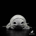 thumbnail image 6 of 30cm Grey Sea Creature Giant Isopod Soft Plush Toy Stuffed Animal Doll Kids Gift, 6 of 12