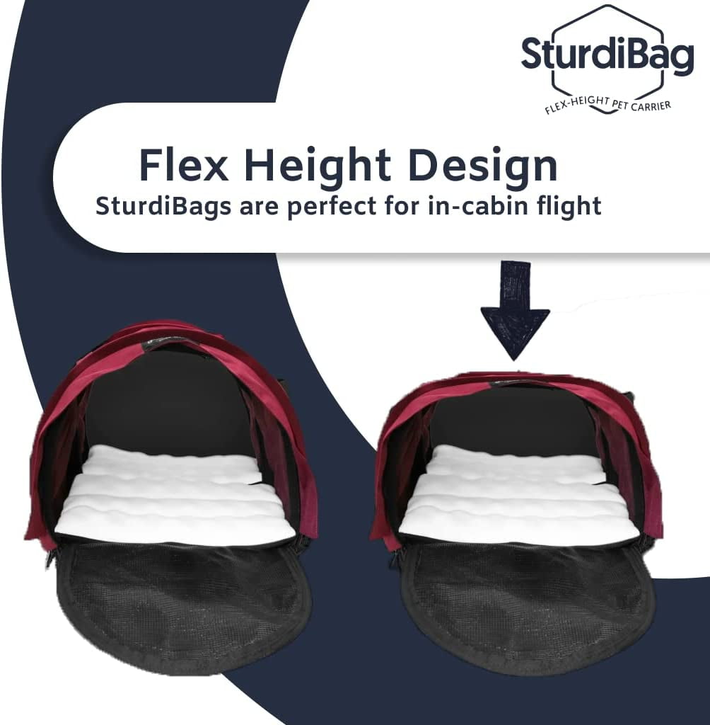 SturdiBag™ Pro 2.0 Divided size XL – Sturdi Products
