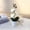 White, variant on Artificial Phalaenopsis Orchid Flower Plant Pot Teal Arrangements for Home Office Decor Indoor (Blue)