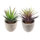 thumbnail image 5 of FENGGUIQU 2Ud Suculentas Artificiales Pequeñas Para Decorativa En Diferentes Espacios Del Hogar, 5 of 8