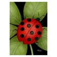 thumbnail image 1 of Toland Home Garden 118234 Ladybug 12.5 x 18 Inch Decorative, Garden Flag (12.5" x 18"), 1 of 1