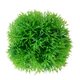 thumbnail image 5 of Acuario Planta de agua artificial Hierba Bola Adorno Paisaje Decoración (Verde) Tmvgtek Oficina Multiescena Multifunción, 5 of 6