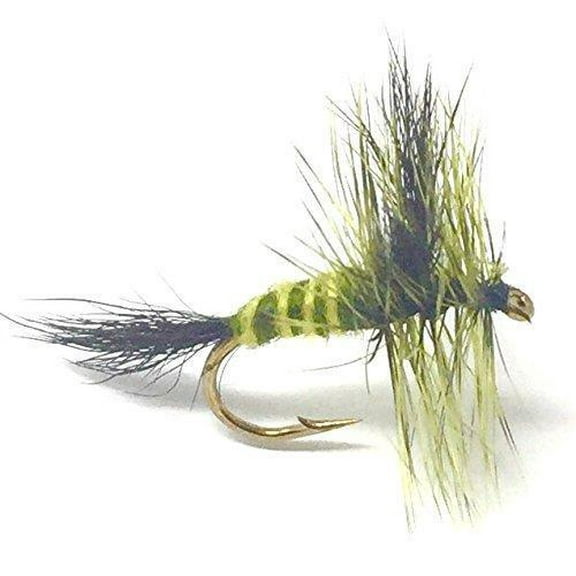 Feeder Creek Green Drake Fly Fishing Flies | Dry Flies for Trout | 12pc Size 20