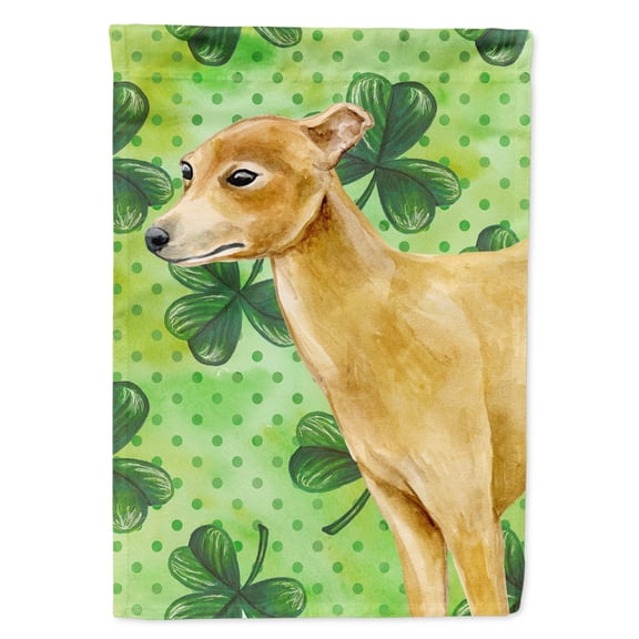 Carolines Treasures BB9872GF Italian Greyhound St Patricks Flag Garden Size  Small multicolor